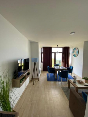 Apartment Renome